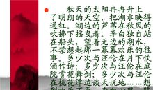 十五从军征改写500字