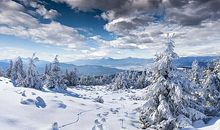 冬天的雪景作文