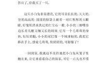 我最喜爱的动物作文