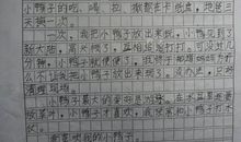 动物作文300字