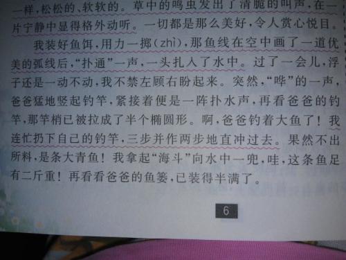 我三年级的作文