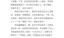 最珍贵的礼物作文