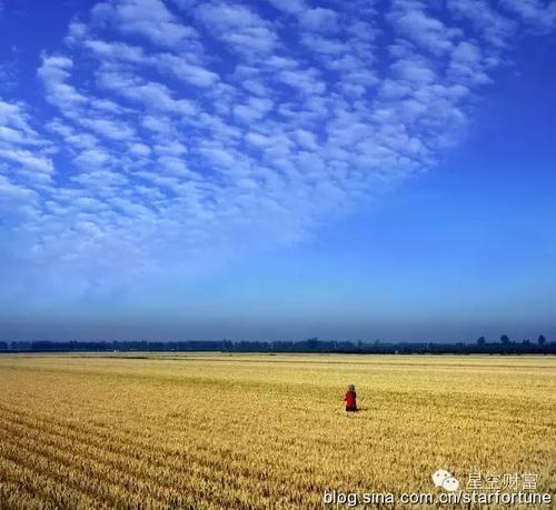 黑麦中的守护者