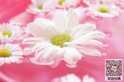 最美丽的花组成