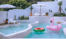 龙眼与伞读后感