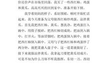 第一次野炊作文