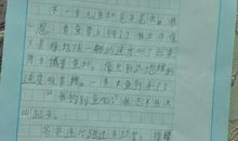 钓鱼作文100字