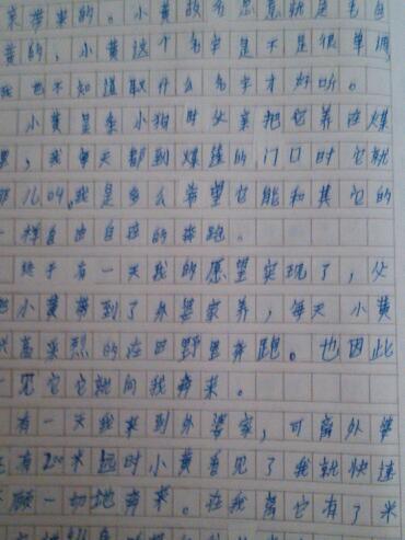 动物构图400字