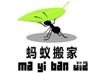 蚂蚁移动组成