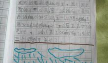 初中生300字日记