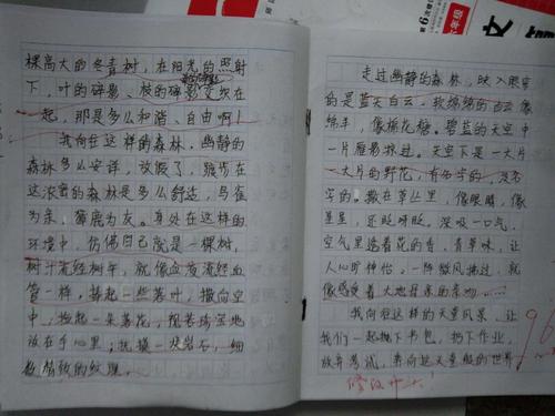 初中作文初次尝试