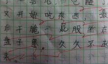 观察动物的日记