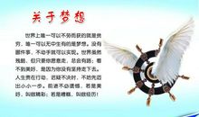 梦想与现实作文