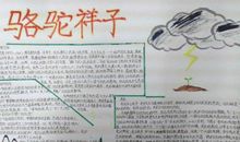 螳螂捕蝉读后感500字