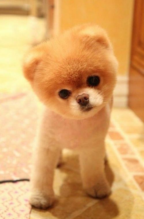 心态真的很重要