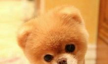 心态真的很重要