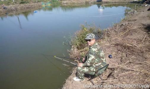 钓鱼乐趣四百字