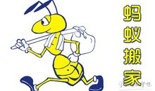 蚂蚁搬家作文500字