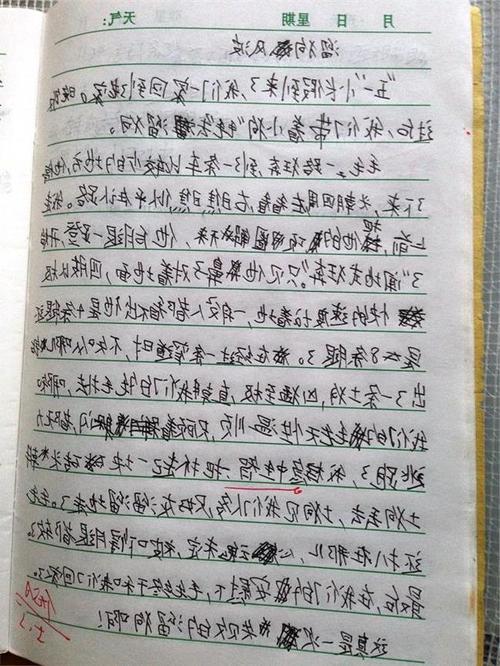 500个半命题论文