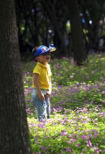 临中的素描和阅读