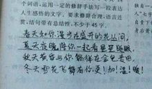 以家为话题的作文300字