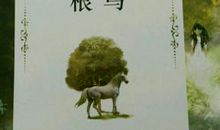 埋在雪下的小屋读后感