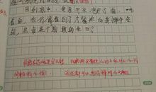 我的生日六年级作文