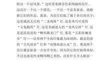 正月十五看花灯作文