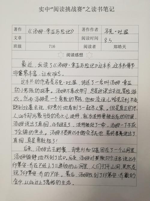 关于汤姆·索里亚冒险的思考