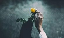 照管好我的心，它已交给了你