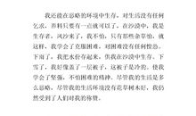 六年级想象作文400字