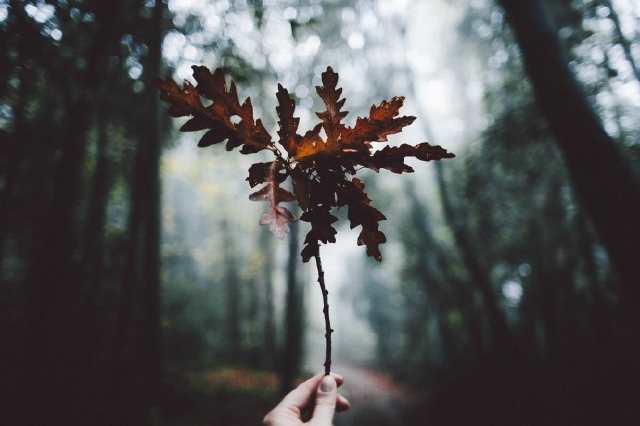 经典句：生活中，理解比爱更重要