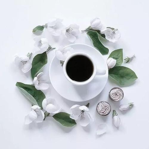 用心选择自己的方式