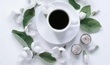 用心去选择自己的路