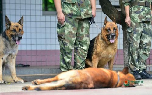 我对阅读的想法