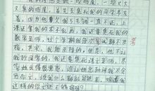 我的理想作文300字