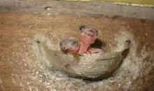 苦难不是对生命的折磨