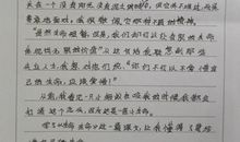 生命流泪的样子读后感