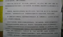 我的母亲作文300字