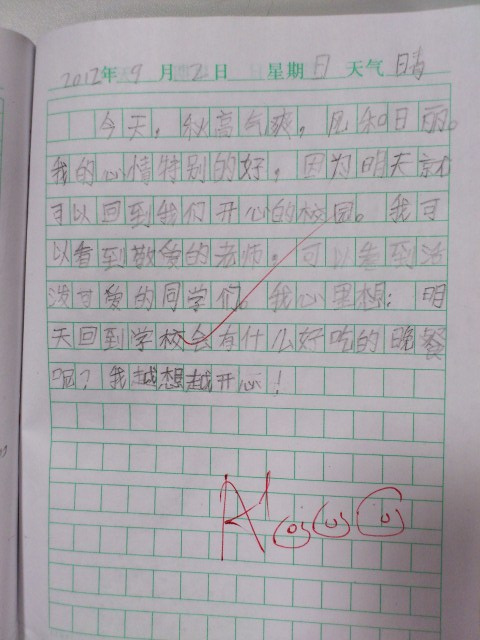 100字日记
