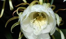 一生定要美丽一次