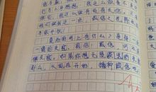 有的人读后感500字