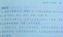 那一次我真失落600字作文