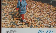 龙应台孩子你慢慢来读后感