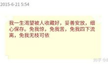 经典语录：免我四下流离，免我无枝可依