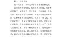 作文家乡的泥土