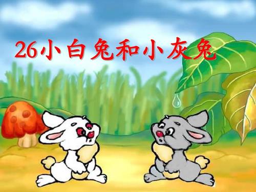 组成小灰兔和小松鼠