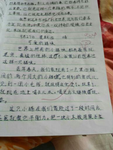 我的生活原则组成