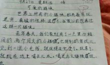 我的生活原则作文