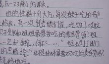 写人叙事的中考满分作文